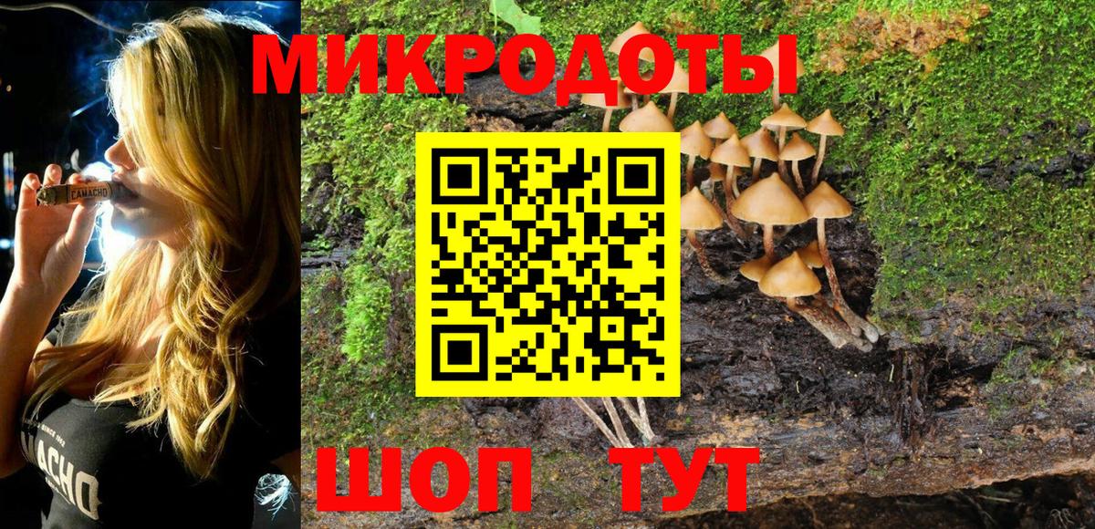 Галлюциногенные грибы GOLDEN TEACHER  Вход с VPN  Дагестанские Огни 